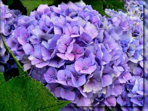 641931 (a): :1600x1200